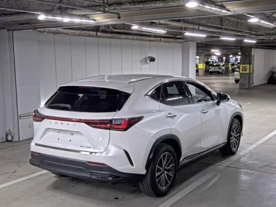 Lexus NX  с аукциона в Японии