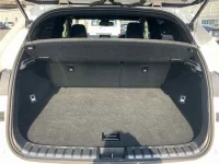 Lexus NX лот № 20028 оценка 4  с аукциона в Японии 9