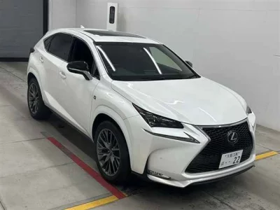 Lexus NX  с аукциона в Японии