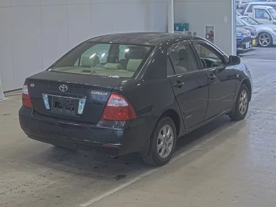 Toyota COROLLA  с аукциона в Японии