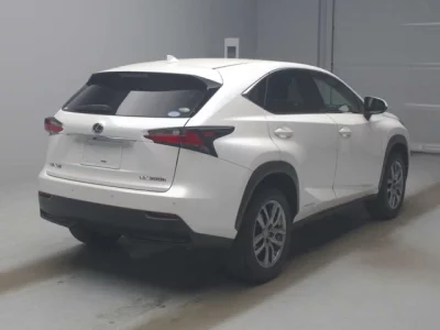 Lexus NX  с аукциона в Японии
