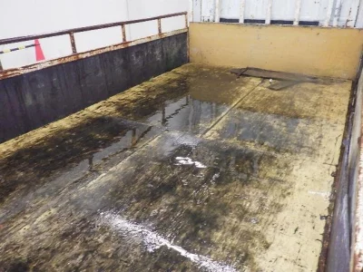 Isuzu ELF  с аукциона в Японии