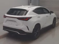 Lexus NX лот № 25007 оценка 4.5  с аукциона в Японии 1