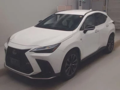 Lexus NX  с аукциона в Японии