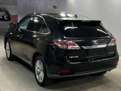 Lexus RX  с аукциона в Японии