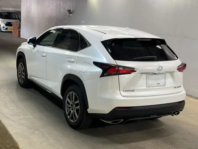 Lexus NX  с аукциона в Японии