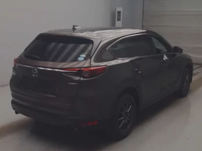 Mazda CX-8  с аукциона в Японии