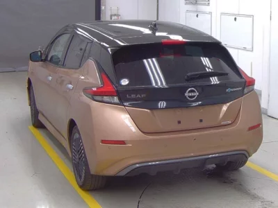 Nissan LEAF  с аукциона в Японии
