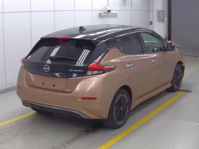 Nissan LEAF  с аукциона в Японии