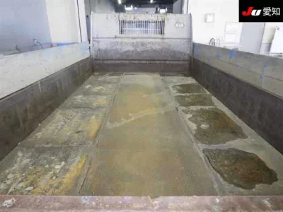 Mazda TITAN  с аукциона в Японии