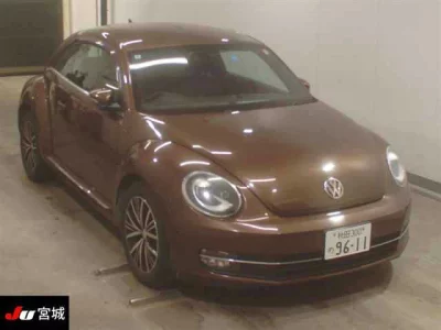 Volkswagen THE BEETLE