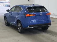 Lexus NX лот № 2183 оценка 5  с аукциона в Японии 1