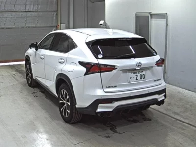 Lexus NX  с аукциона в Японии