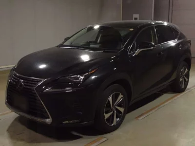 Lexus NX  с аукциона в Японии