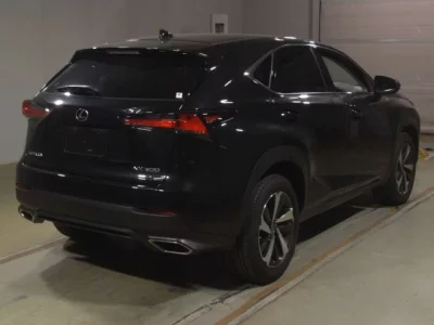 Lexus NX  с аукциона в Японии