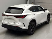 Lexus NX лот № 10002 оценка RA  с аукциона в Японии 1