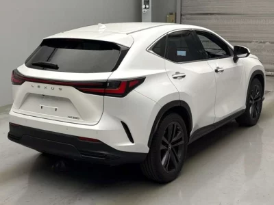 Lexus NX  с аукциона в Японии