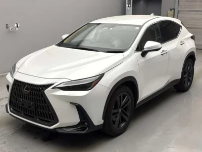 Lexus NX  с аукциона в Японии