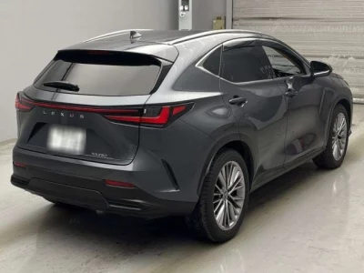 Lexus NX  с аукциона в Японии