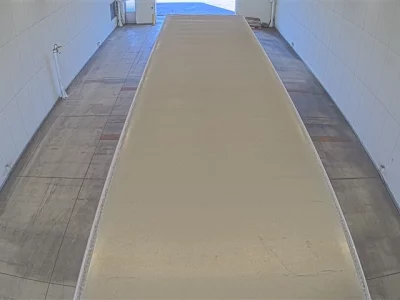 Hino PROFIA  с аукциона в Японии