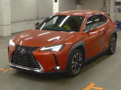 Lexus UX  с аукциона в Японии