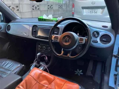 Volkswagen THE BEETLE