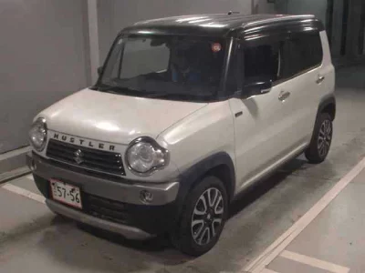 Suzuki HUSTLER