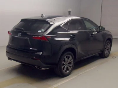 Lexus NX  с аукциона в Японии