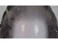 BMW 7-Series лот № 38106 оценка 4  с аукциона в Японии 10