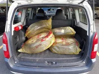 Toyota PROBOX лот № 30087 оценка 4  с аукциона в Японии 9