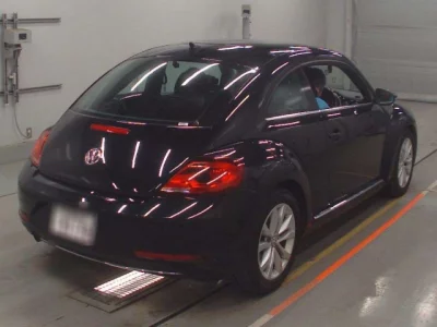 Volkswagen THE BEETLE
