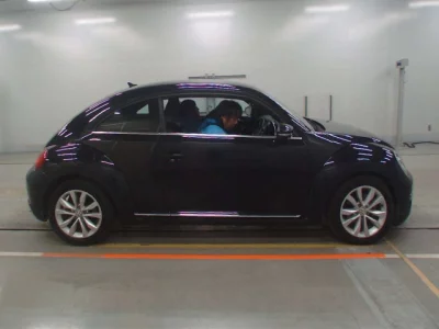Volkswagen THE BEETLE