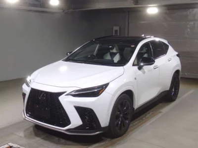 Lexus NX  с аукциона в Японии