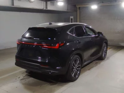 Lexus NX  с аукциона в Японии