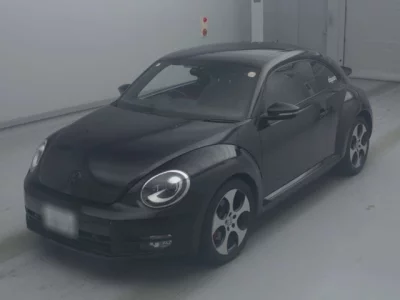 Volkswagen THE BEETLE