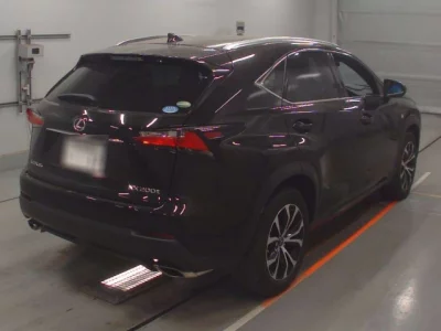 Lexus NX  с аукциона в Японии