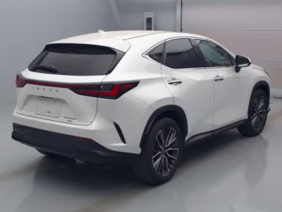 Lexus NX  с аукциона в Японии
