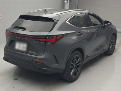 Lexus NX  с аукциона в Японии