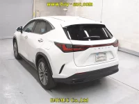Lexus NX лот № 60066 оценка 4.5  с аукциона в Японии 1