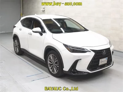 Lexus NX  с аукциона в Японии