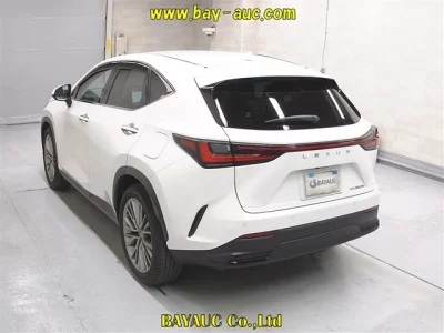 Lexus NX  с аукциона в Японии