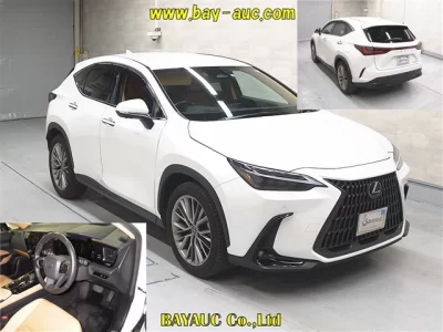 Lexus NX  с аукциона в Японии