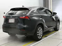 Lexus NX лот № 30009 оценка 4  с аукциона в Японии 1