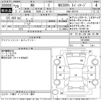 Lexus NX лот № 30009 оценка 4  с аукциона в Японии 11