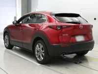 Mazda CX-30 лот № 33229 оценка 5  с аукциона в Японии 5