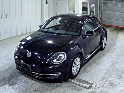 Volkswagen THE BEETLE