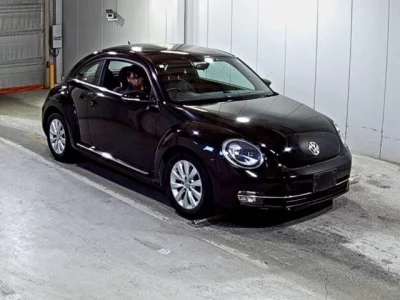 Volkswagen THE BEETLE