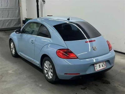 Volkswagen THE BEETLE