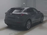 Mazda CX-30 лот № 22095 оценка 3.5  с аукциона в Японии 1