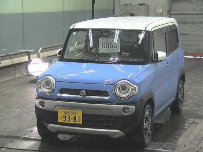 Suzuki HUSTLER
